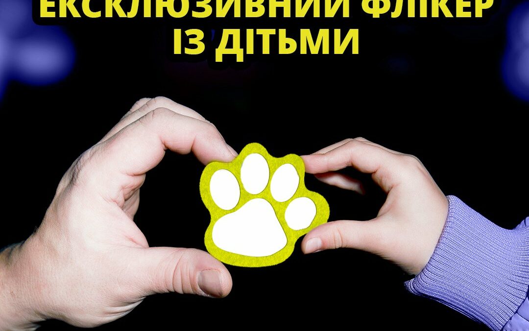 Коли погода стає осінньо-похмурою, і ніч довшою за день, варто бути помітним на дорозі. І носити флікери (світловідбивальні елементи) – це чудова ідея!