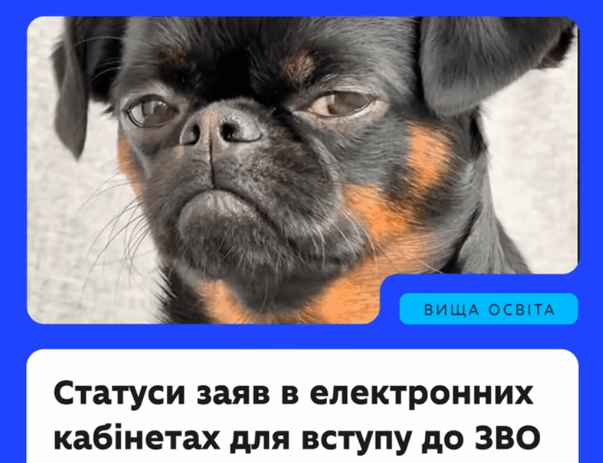 Уже з 19 липня розпочинається подання заяв на бакалаврат до закладів вищої освіти через електронні кабінети.