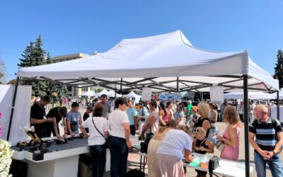 Друзі, Ви ще не на наукових пікніках?