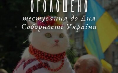 Тестування до Дня Соборності України від НФ «Код Нації»
