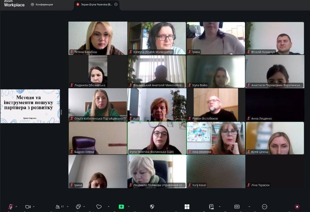 Грантові можливості та європейські стандарти управління: на Волині пройшло триденне онлайн-навчання