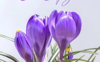 З Міжнародним жіночим днем!